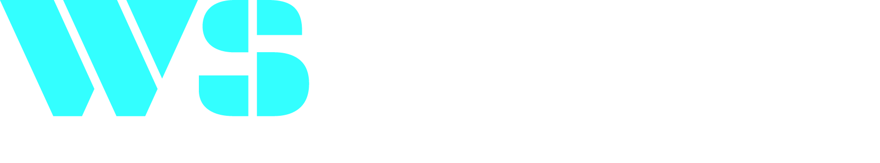 dev.websoly.com